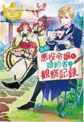 第二十三个夏天 日本成人向剧情片