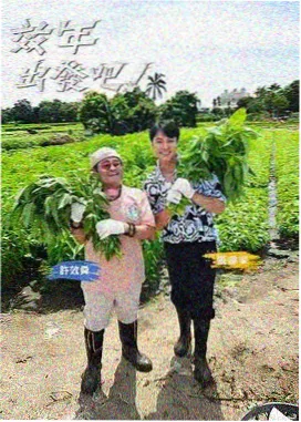 厨房里的陌生人 日韩成人电影排行榜